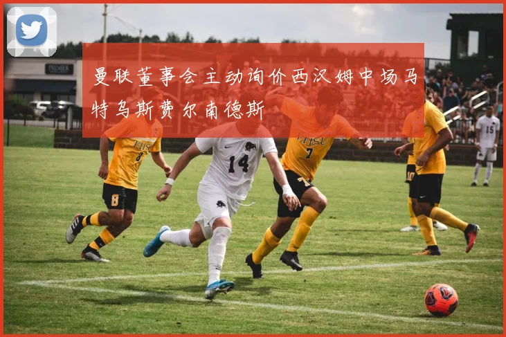 曼联董事会主动询价西汉姆中场马特乌斯费尔南德斯